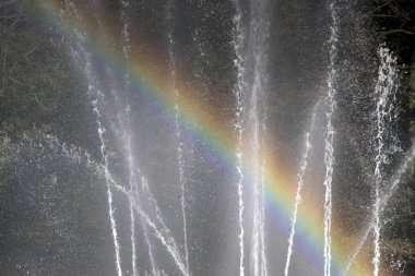 Arnhem, Hollanda park sonsbeek gölet çeşme gökkuşağı