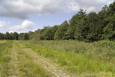 Hollanda, Drenthe 'deki Gras Bulvarı