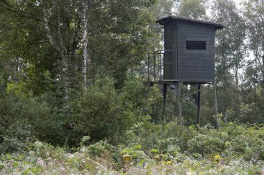 Hoge Veluwe Ulusal Parkı, Hollanda - 10 Eylül 2009