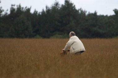 Hoge Veluwe Ulusal Parkı, Hollanda - 11 Eylül 2009