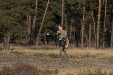 Hoge Veluwe Ulusal Parkı, Hollanda - 24 Eylül 2009: Hollanda Ulusal Park De Hoge Veluwe 'da çiftleşme mevsiminde geyik yakalamak için elma haşlayan Ranger