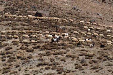 Uchisar, Türkiye - 11 Eylül 2007