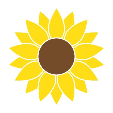 Düz biçim vektöründe ayçiçeği izole edildi.