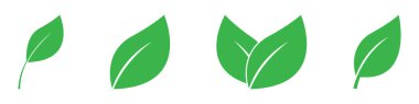 Yeşil yaprak simgesi. Yeşil yaprak simgeleri kümesi.