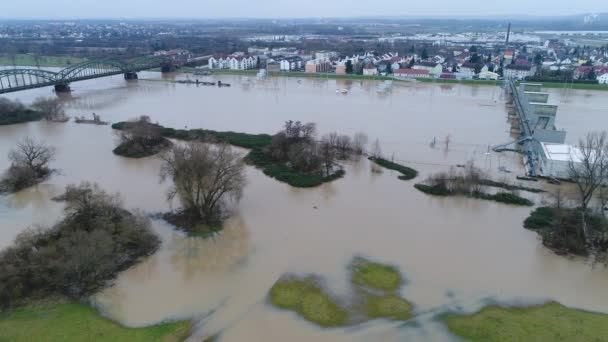 Overstroomde Oevers Van Rijn Main Duitsland Zware Regenval — Stockvideo