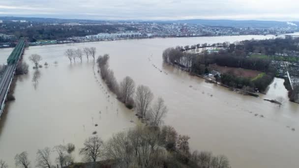Flooded River Banks Rhine River Main River Germany Heavy Rainfall — Stock Video
