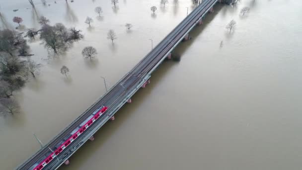 Overstroomde Oevers Van Rijn Main Duitsland Zware Regenval — Stockvideo