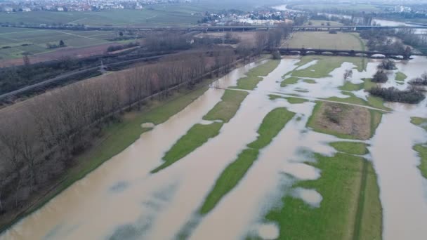 Flooded River Banks Rhine River Main River Germany Heavy Rainfall — Stock Video