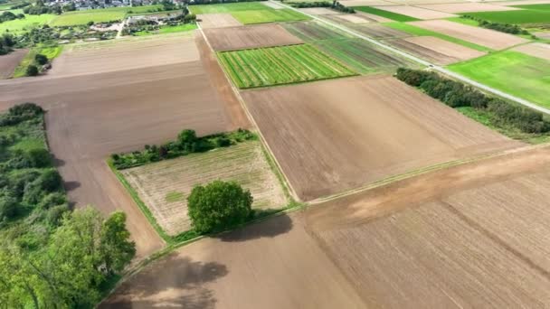 Aerial View Agricultural Fields — Stock Video