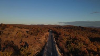 Sonbahar akşamında yol manzaralı otomobil gezintisi konsepti asfalttaki ağaçların arasından geçiyor.