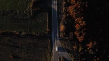 Sonbahar akşamında yol manzaralı otomobil gezintisi konsepti asfalttaki ağaçların arasından geçiyor.