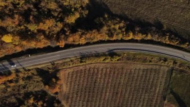 Sonbahar akşamında yol manzaralı otomobil gezintisi konsepti asfalttaki ağaçların arasından geçiyor.