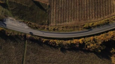 Sonbahar akşamında yol manzaralı otomobil gezintisi konsepti asfalttaki ağaçların arasından geçiyor.