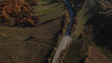 Sonbahar akşamında yol manzaralı otomobil gezintisi konsepti asfalttaki ağaçların arasından geçiyor.