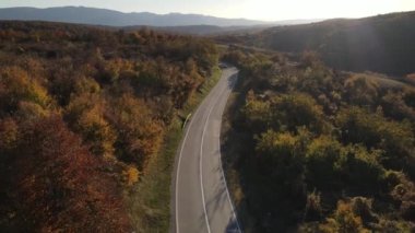 Sonbahar akşamında yol manzaralı otomobil gezintisi konsepti asfalttaki ağaçların arasından geçiyor.