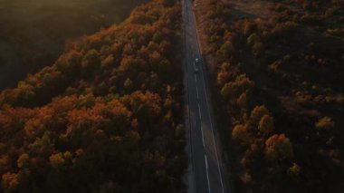 Sonbahar akşamında yol manzaralı otomobil gezintisi konsepti asfalttaki ağaçların arasından geçiyor.