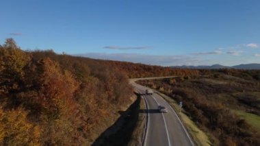 Sonbahar akşamında yol manzaralı otomobil gezintisi konsepti asfalttaki ağaçların arasından geçiyor.