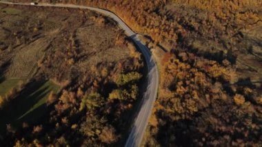 Sonbahar akşamında yol manzaralı otomobil gezintisi konsepti asfalttaki ağaçların arasından geçiyor.