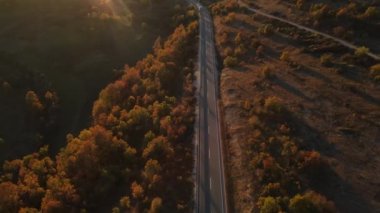 Sonbahar akşamında yol manzaralı otomobil gezintisi konsepti asfalttaki ağaçların arasından geçiyor.
