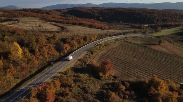 秋天的傍晚 汽车通过巡航旅行的概念 在公路上的空中俯瞰着柏油路上的树木 — 图库视频影像