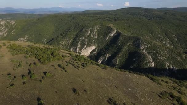 Drone Vista Aérea Sobre Desfiladeiro Desfiladeiro Dia Verão Sérvia Europa — Vídeo de Stock