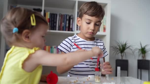Anaokulundan Bir Çocuk Evde Fen Deneyleriyle Oynarken Küçük Kız Kardeşi — Stok video