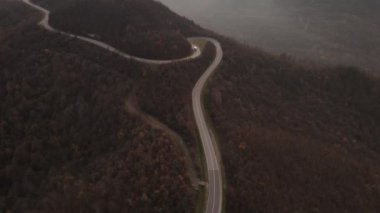 Sonbahar günü asfaltta seyir halindeki kamyonla yola çıkan hava manzaralı doğa manzaralı seyahat konsepti kırsal alanda.