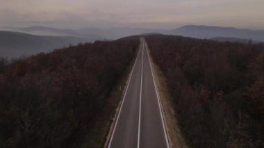 Sonbahar günü otomobillerin geçtiği yol üzerindeki hava manzarası, Tresibaba Sırbistan 'daki asfalt üzerindeki orman ağaçlarının arasında seyir konsepti.