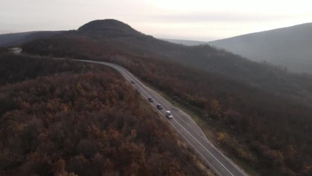 秋天的日子里 乘坐汽车通过游轮旅行的空中风景穿过了塞尔维亚特蕾西巴巴的柏油路上的林木 — 图库视频影像