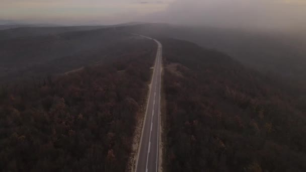 車で道路上の空中ビュー秋の日にクルージング運転の概念を通過トレシババセルビアのアスファルト上の森の木々を貫通 — ストック動画