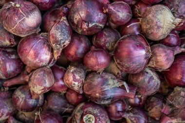 Taze organik hasat edilmiş soğan yığını üzerinde kırmızı soğan tam çerçeve görünümü