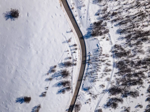 Stara Planina Babin Zub Mountain Serbia Covered Snow Road Winter — Stockfoto