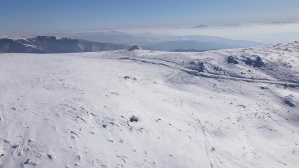 Skiër Piste Piste Afdaling Skiën Winter Dag Sneeuw Old Mountain — Stockvideo