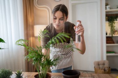 One Young woman caucasian female gardener or florist take care and cultivate domestic flowers plants at home gardening concept spray nutrition copy space