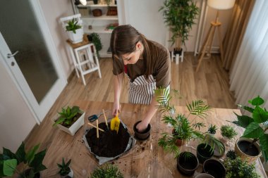 One Young woman caucasian female gardener or florist take care and cultivate domestic flowers plants at home gardening concept copy space