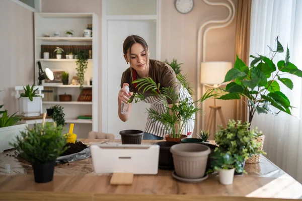 1人の若い女性の白人女性の庭師または花屋は世話をし 家庭菜園のコンセプトスプレー栄養コピースペースで国内の花の植物を栽培する — ストック写真