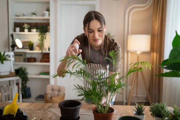 1人の若い女性の白人女性の庭師または花屋は世話をし 家庭菜園のコンセプトスプレー栄養コピースペースで国内の花の植物を栽培する — ストック写真