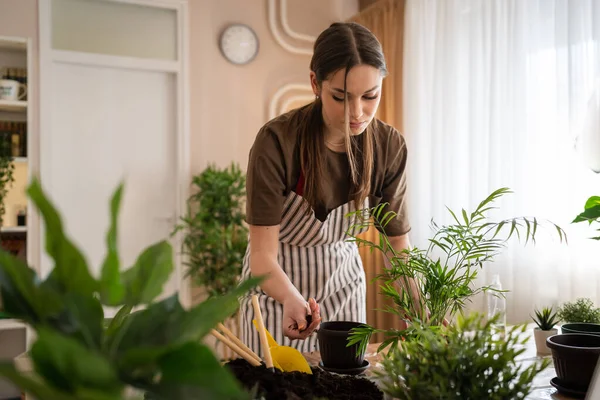 1人の若い女性の白人女性庭師または花屋は世話をし 家庭菜園の概念コピースペースで国内の花植物を栽培する — ストック写真
