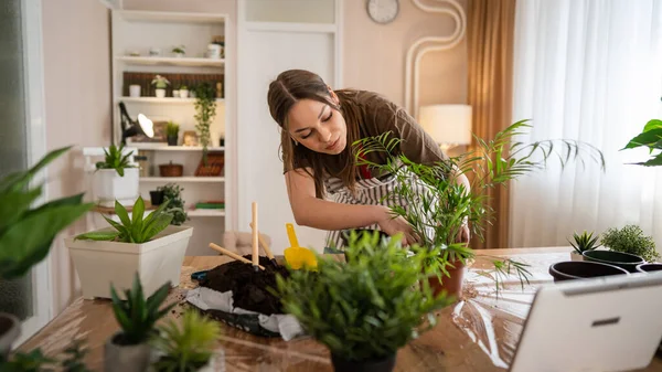 One Young Woman Caucasian Female Gardener Florist Take Care Cultivate — Photo