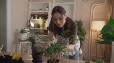 One Young woman caucasian female gardener or florist take care and cultivate domestic flowers plants at home gardening concept