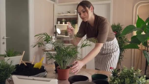 One Young Woman Caucasian Female Gardener Florist Take Care Cultivate — Vídeo de Stock