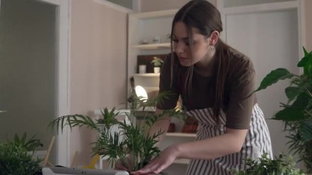 一人の若い女性の白人女性庭師または花屋は家庭菜園の概念で国内の花の植物を世話し 栽培する — ストック動画