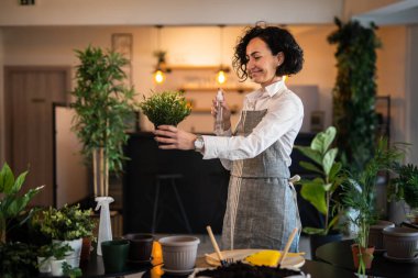 One mature woman caucasian female gardener or florist take care and cultivate domestic flowers plants at home gardening concept copy space