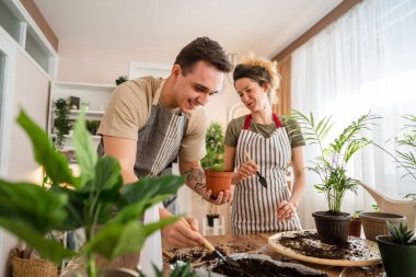 Couple caucasian man and woman wife and husband planting flowers together taking care of home plants real people domestic life family gardening concept copy space