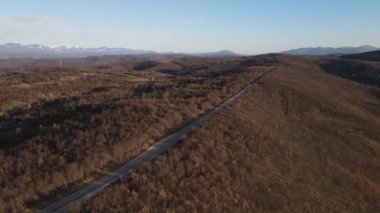 Sonbahar veya kış günlerinde otomobillerin geçtiği yol üzerindeki hava manzarası, Tresibaba Sırbistan 'daki asfalt üzerinde ağaçların arasından geçiyor