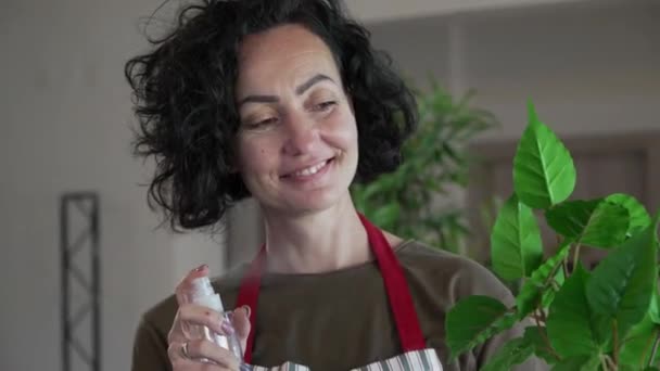一人の成熟した女性の白人女性庭師または花屋は世話をし 家庭菜園の概念スプレー栄養で国内の花の植物を栽培する — ストック動画