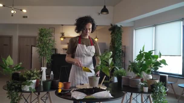 一人の成熟した女性の白人女性庭師または花屋は家庭菜園の概念で世話をし 国内の花の植物を栽培する — ストック動画