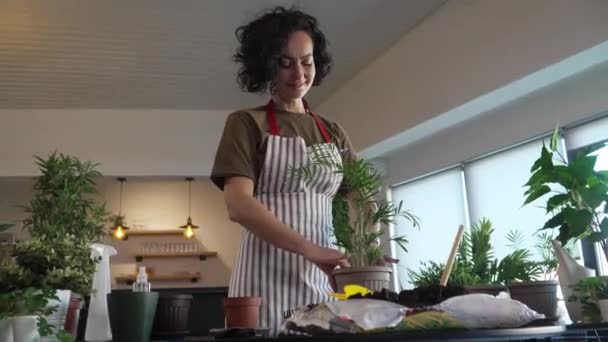 One Mature Woman Caucasian Female Gardener Florist Take Care Cultivate — Stock Video