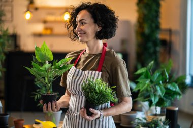 Yetişkin bir kadın elinde çiçek bitkileriyle evde duruyor mutlu gülüşler, ön tarafta belime gülücükler ve botanik bakım konsepti.