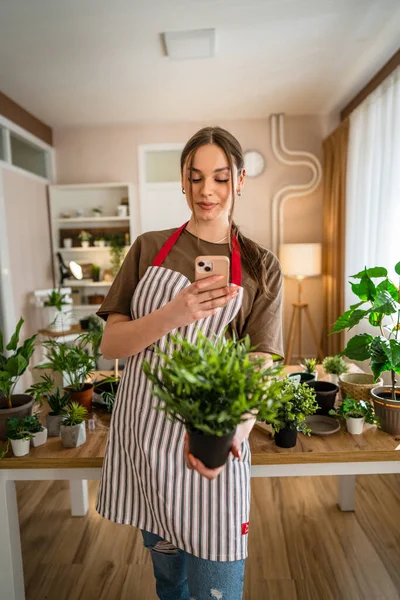 Kvinna Ung Generation Vuxen Kaukasisk Kvinna Hand Sina Växter Hemma — Stockfoto